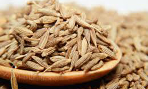 Authentic Jeera Premium (250 Gms)