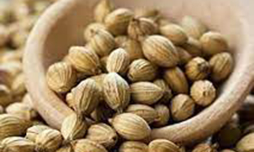 Coriander Seeds -100g