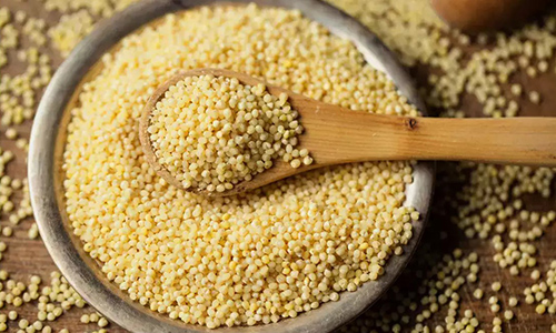 Foxtail Kakum Millet (500 Gms)