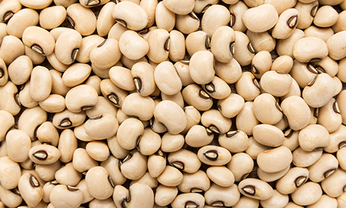 Cowpea (Lobia, 500 Gms)