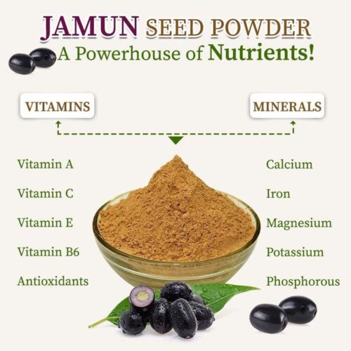 Jamun Seed Powder – 100% Natural