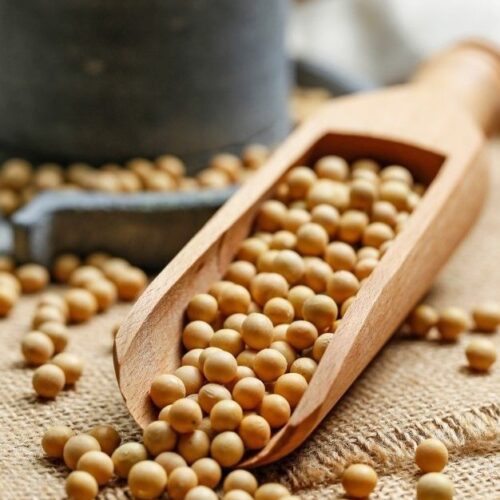 White Pea - Matar - 500Gm